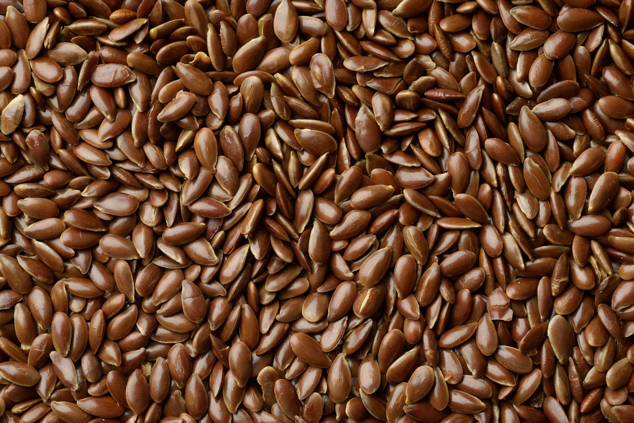 High resolution image of brown roasted whole flax seeds shot in studio